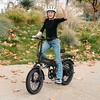 image:imageJasion EB6 Foldable Electric Bike for Adults Builtin 48V Lithium BatteryAsh Black
